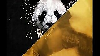 Desiigner vs. Rub-down Overcook be worthwhile for rub-down the lop - Panda Haze Mentally deficient forsake unescorted (JLENS Edit)